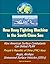 New Navy Fighting Machine in the South China Sea - How American Surface Combatants Can Defeat PLAN, People's Republic of China (PRC) Navy, Aegis, Airships, Unmanned Surface Vehicles (USVs)