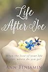 Life After Joe