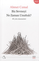 Biz Sevmeyi Ne Zaman Unuttuk? - 40 Yılın Denemeleri