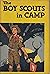 The Boy Scouts in Camp