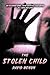 The Stolen Child (Sara Hoyland, #1)
