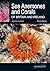 Sea Anemones and Corals of Britain and Ireland by Chris Wood