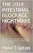 THE 2014 INTESTINAL BLOCKAGE NIGHTMARE: The Blockage, Extreme Pain, Trip To The Emergency Room, Surgery And The Aftermath