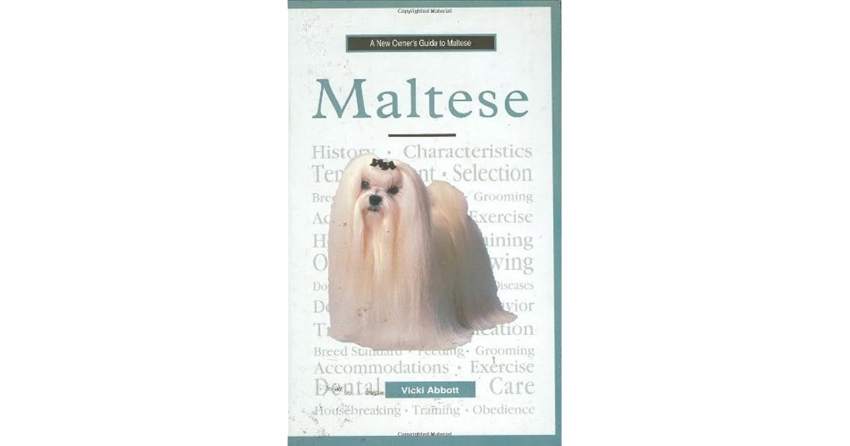 A New Owner S Guide To Maltese By Vicki Abbott