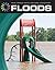Floods (21st Century Skills Library: Real World Math)