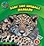 Jaguars (21st Century Basic Skills Library: Level 3: Baby Zoo Animals)