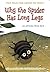 Why the Spider Has Long Legs: An African Folk Tale (Folk Tales From Around the World)