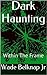 Dark Haunting: Within The Frame