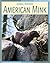 American Mink (21st Century Skills Library: Animal Invaders)