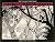 The Complete 1924 - 1943 Wa...