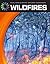 Wildfires (21st Century Skills Library: Real World Math)