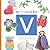 My 'v' Sound Box (Sound Box Books)