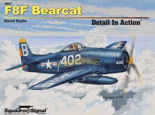 F8F Bearcat Detail In Action (Paperback)