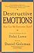 Destructive Emotions: A Sci...