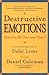 Destructive Emotions: A Scientific Dialogue with the Dalai Lama