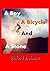 A Boy, A Bicycle and a Stone