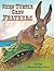 When Turtle Grew Feathers (LittleFolk Picture Books)