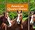 American Quarter Horses (Majestic Horses)
