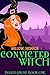 Convicted Witch (Jagged Gro...