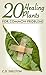 20 Healing Plants: For Common Problems