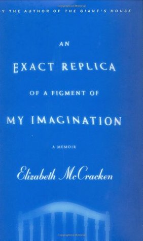 An Exact Replica of a Figment of My Imagination (Hardcover)