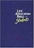Life Application Bible for Students: The Living Bible