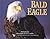 Bald Eagle Calendar 2002