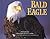 Bald Eagle Calendar 2002 by Lon E. Lauber