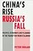 China's Rise, Russia's Fall by Peter Nolan