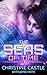 The Seas of Time (Love Across Stars #2)