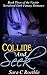 Collide and Seek (Bitter Ashes, #2)