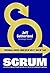 Scrum (Dutch Edition)