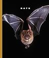 Bats by Sophie Lockwood