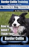 Border Collie Tra...