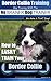 Border Collie Training Dog Training with the No BRAINER Dog TRAINER ~ We Make it THAT Easy!: How to EASILY TRAIN Your Border Collie