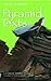 Pyramid Texts by Gamal al-Ghitani