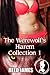 The Werewolf's Harem Collection 1 (The Werewolf's Harem, #1-3)
