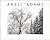 Ansel Adams 2016 Wall Calendar by Ansel Adams