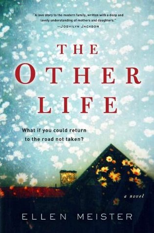 The Other Life (Hardcover)