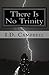 There Is No Trinity (When You Read This Book You Will Know That 3)