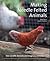 Making Needle-Felted Animals: Over 20 Wild, Domestic and Imaginary Creatures (Crafts and family Activities)