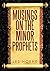 Musings On The Minor Prophets