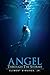 Angel Through the Storms (T...