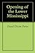 Opening of the Lower Mississippi by David Dixon Porter