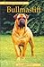 Pet Owner's Guide to the Bullmastiff