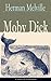 Moby Dick: Clásicos de la literatura (Spanish Edition)