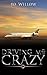 Driving Me Crazy (The Drive Series Book 2)