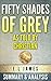 Fifty Shades of Grey as Told by Christian: Summary & Analysis