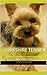 Yorkshire Terrier: Guide to a perfect companionship with your Yorkie