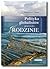 Polityka globalistów przeciw rodzinie